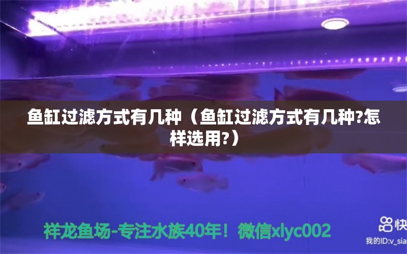 魚缸過濾方式有幾種（魚缸過濾方式有幾種?怎樣選用?）