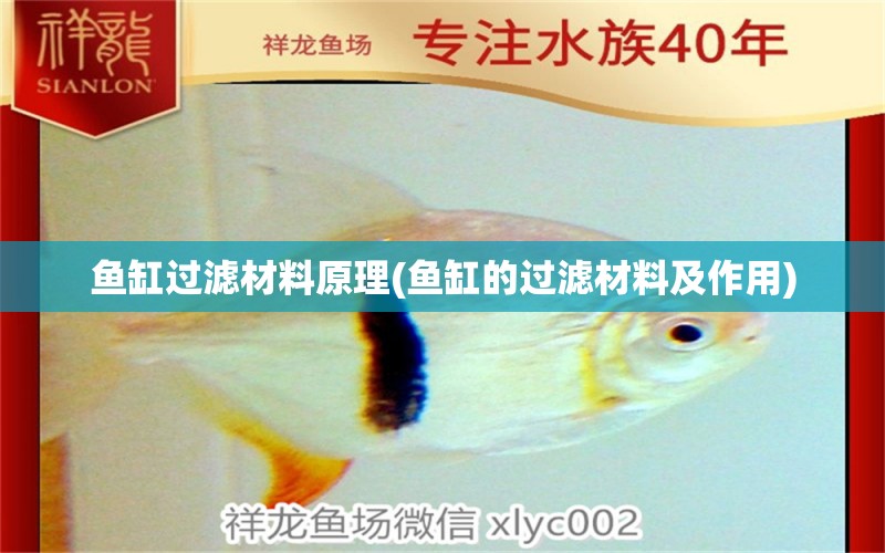 魚缸過濾材料原理(魚缸的過濾材料及作用) 白子銀版魚 第1張