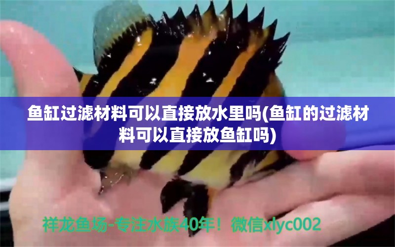 魚(yú)缸過(guò)濾材料可以直接放水里嗎(魚(yú)缸的過(guò)濾材料可以直接放魚(yú)缸嗎) 狗頭魚(yú)