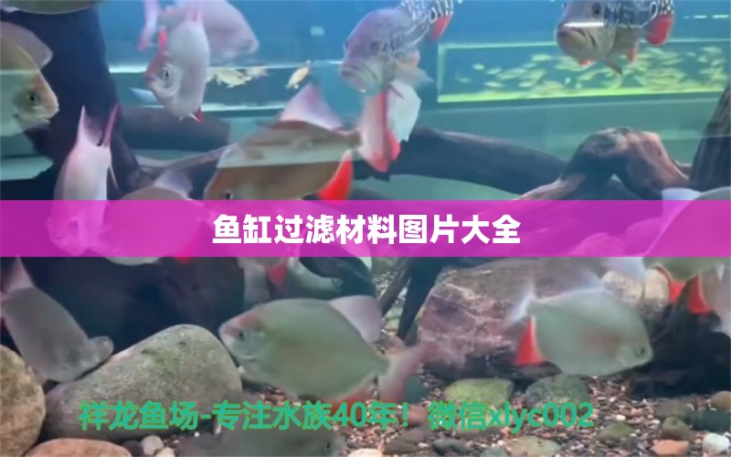 魚缸過濾材料圖片大全 祥龍魚場