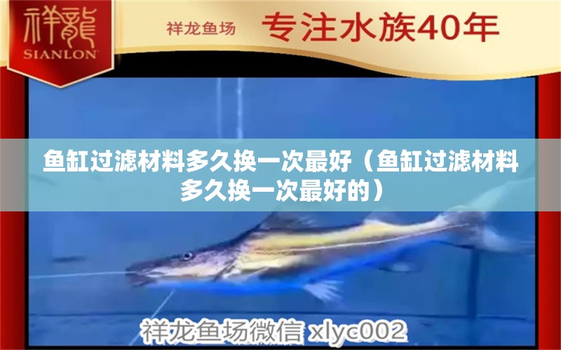 魚缸過濾材料多久換一次最好（魚缸過濾材料多久換一次最好的）