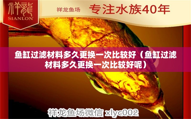 魚缸過(guò)濾材料多久更換一次比較好（魚缸過(guò)濾材料多久更換一次比較好呢）