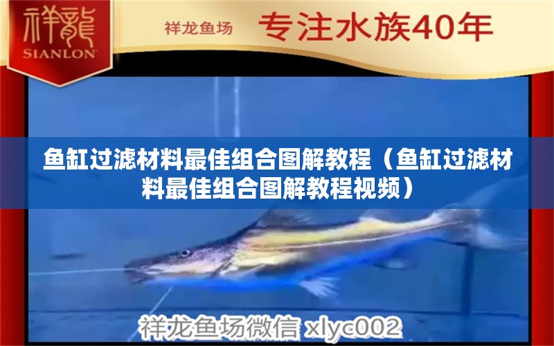 魚缸過濾材料最佳組合圖解教程（魚缸過濾材料最佳組合圖解教程視頻） 印尼虎苗