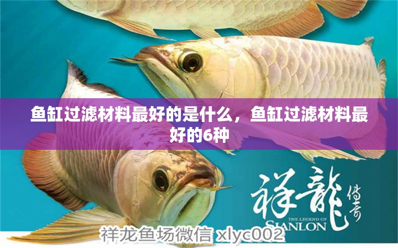 魚缸過濾材料最好的是什么，魚缸過濾材料最好的6種 觀賞魚飼料