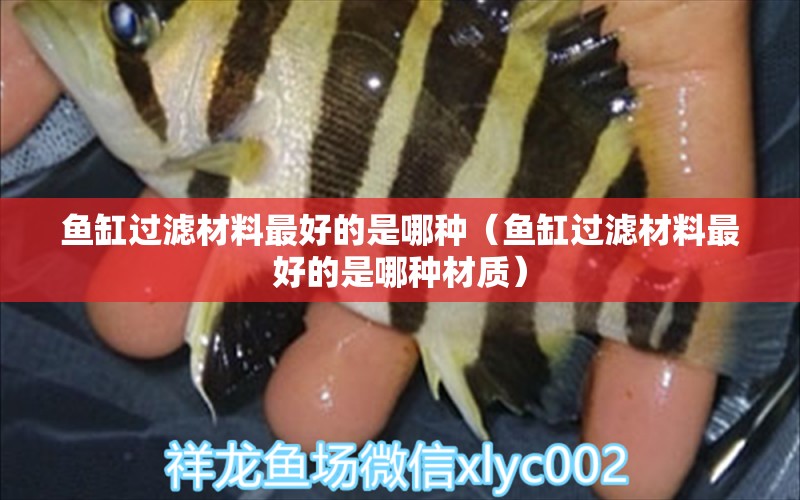 魚缸過濾材料最好的是哪種（魚缸過濾材料最好的是哪種材質(zhì)）