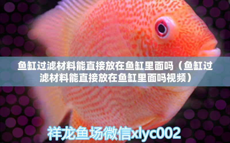 魚缸過濾材料能直接放在魚缸里面嗎（魚缸過濾材料能直接放在魚缸里面嗎視頻） 祥龍魚場