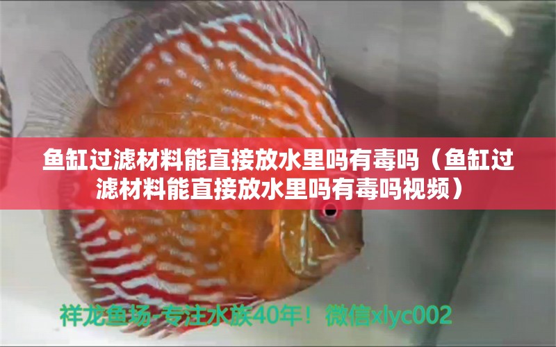 魚缸過濾材料能直接放水里嗎有毒嗎（魚缸過濾材料能直接放水里嗎有毒嗎視頻） 祥龍水族醫(yī)院