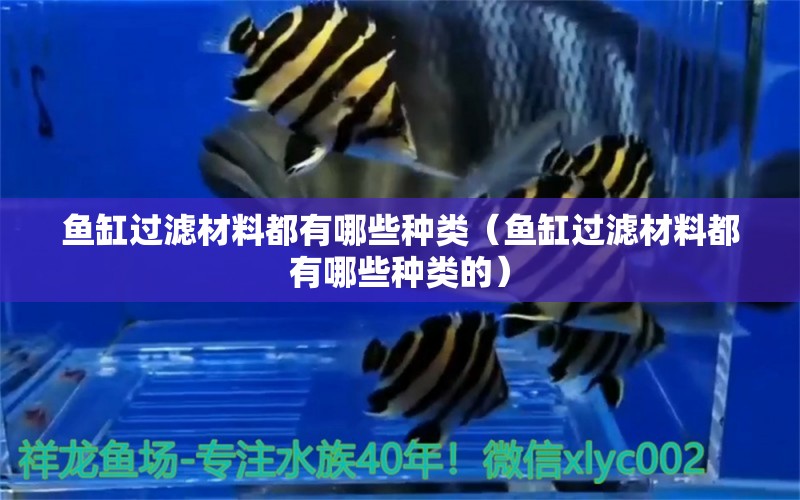 魚缸過濾材料都有哪些種類（魚缸過濾材料都有哪些種類的）