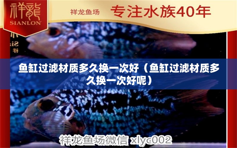 魚缸過濾材質多久換一次好（魚缸過濾材質多久換一次好呢）