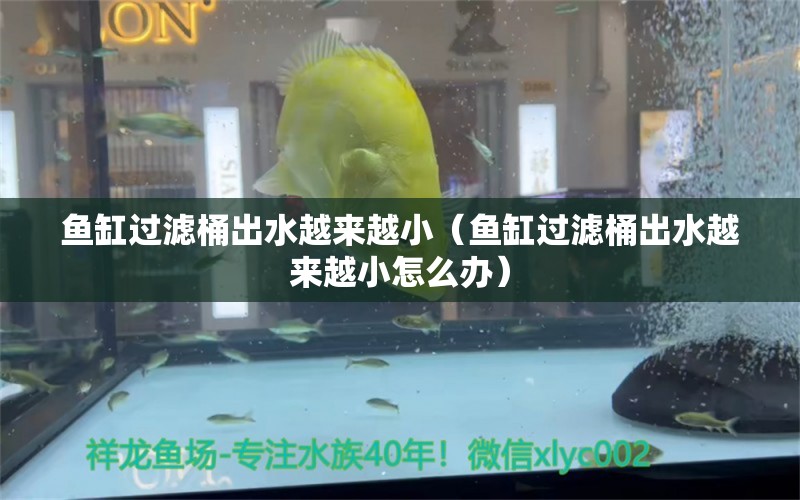 魚缸過(guò)濾桶出水越來(lái)越?。~缸過(guò)濾桶出水越來(lái)越小怎么辦）