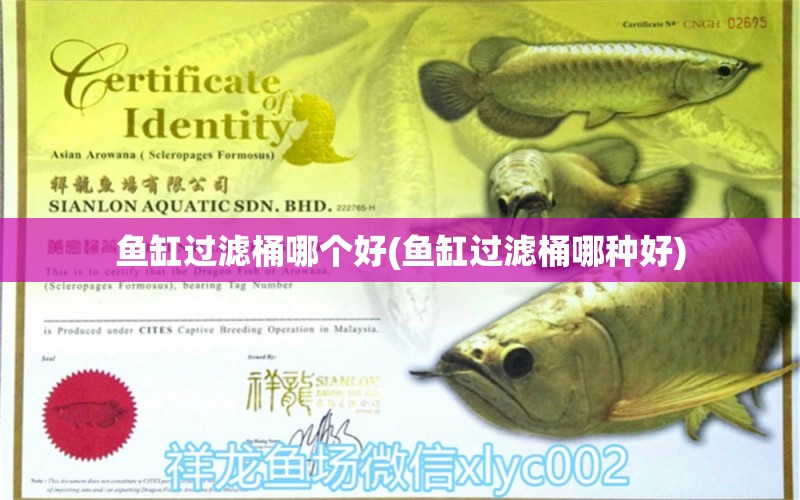 魚(yú)缸過(guò)濾桶哪個(gè)好(魚(yú)缸過(guò)濾桶哪種好) 蘇虎 第1張