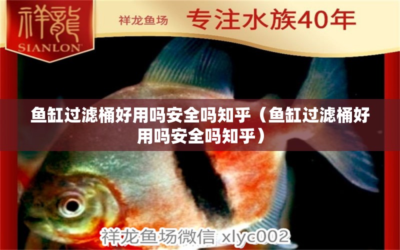 魚缸過(guò)濾桶好用嗎安全嗎知乎（魚缸過(guò)濾桶好用嗎安全嗎知乎） 三色錦鯉魚