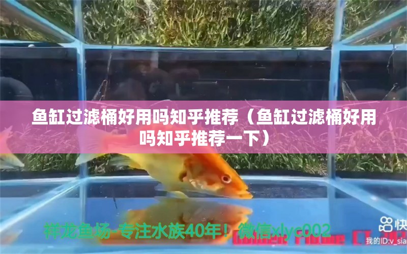 魚缸過濾桶好用嗎知乎推薦（魚缸過濾桶好用嗎知乎推薦一下）