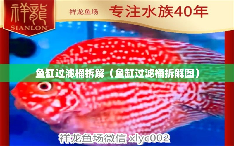 魚(yú)缸過(guò)濾桶拆解（魚(yú)缸過(guò)濾桶拆解圖）