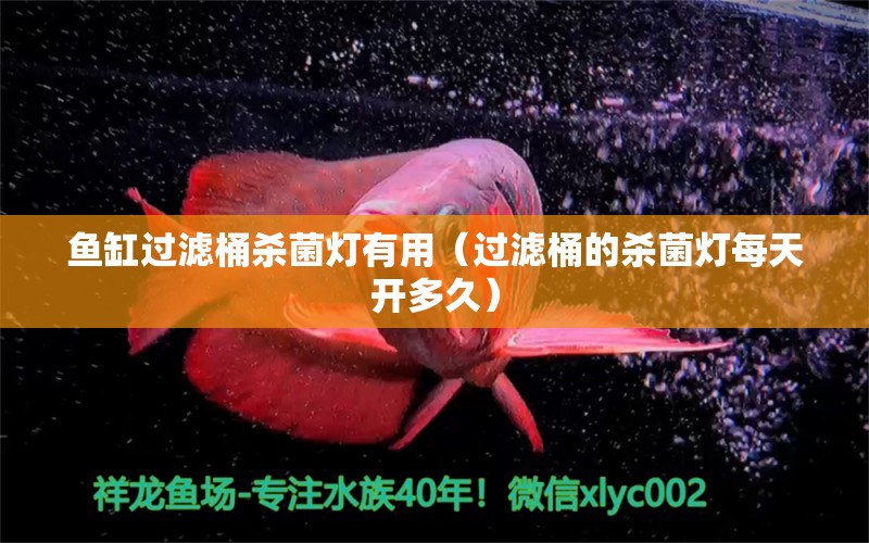 魚缸過濾桶殺菌燈有用（過濾桶的殺菌燈每天開多久） 水族維護服務（上門） 第1張