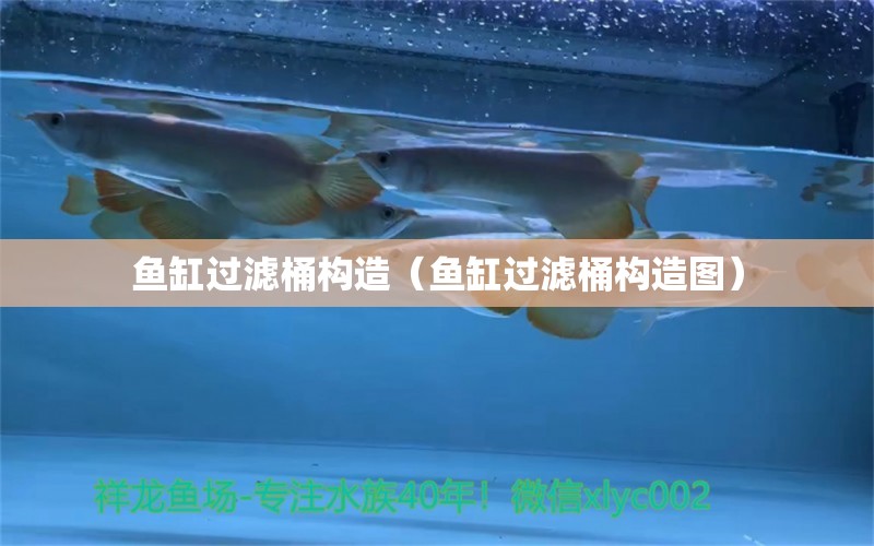 魚缸過濾桶構(gòu)造（魚缸過濾桶構(gòu)造圖）