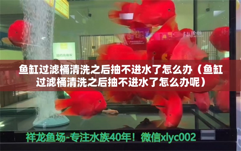 魚缸過濾桶清洗之后抽不進水了怎么辦（魚缸過濾桶清洗之后抽不進水了怎么辦呢）