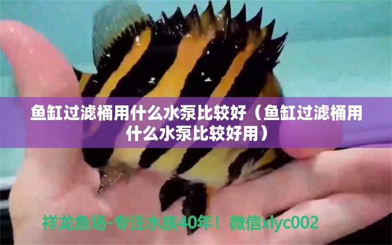 魚缸過濾桶用什么水泵比較好（魚缸過濾桶用什么水泵比較好用）