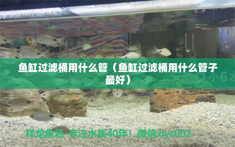 魚缸過濾桶用什么管（魚缸過濾桶用什么管子最好） 巨骨舌魚