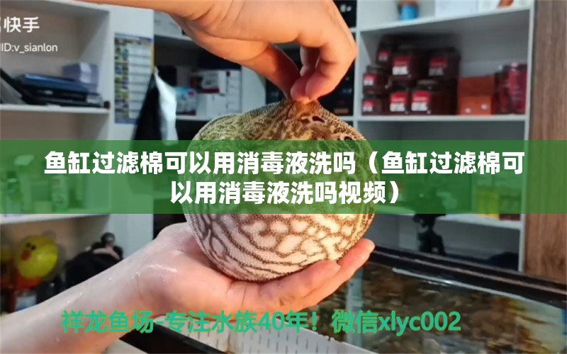 魚缸過濾棉可以用消毒液洗嗎（魚缸過濾棉可以用消毒液洗嗎視頻） 量子養(yǎng)魚技術(shù)