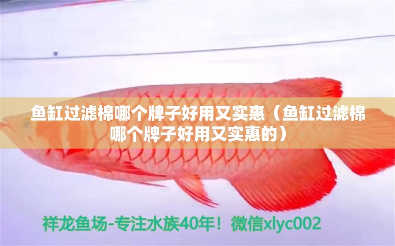 魚缸過濾棉哪個(gè)牌子好用又實(shí)惠（魚缸過濾棉哪個(gè)牌子好用又實(shí)惠的）