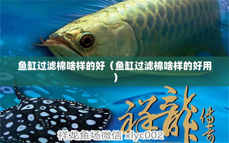 魚缸過濾棉啥樣的好（魚缸過濾棉啥樣的好用）