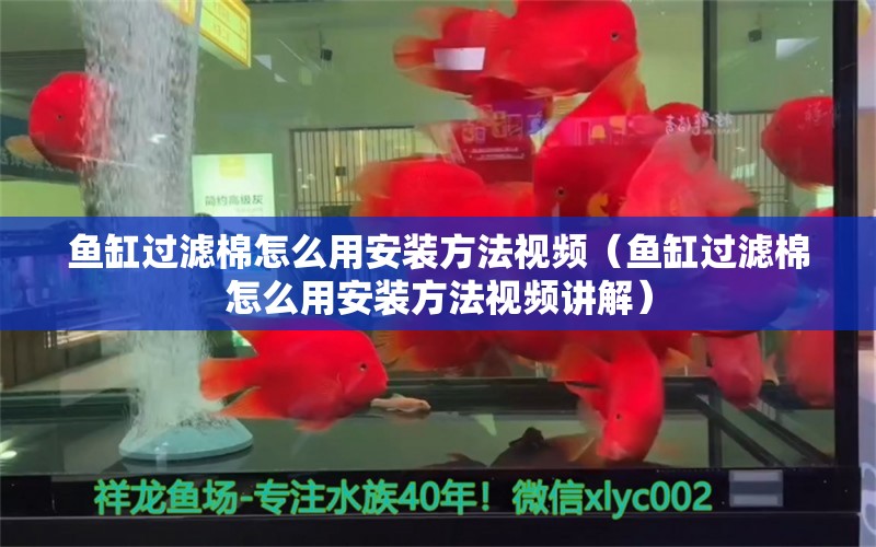 魚缸過濾棉怎么用安裝方法視頻（魚缸過濾棉怎么用安裝方法視頻講解） 魚缸風(fēng)水