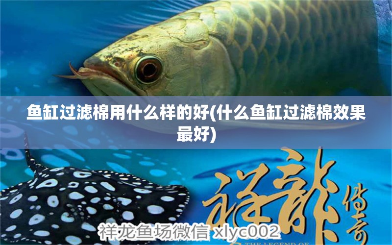 魚缸過濾棉用什么樣的好(什么魚缸過濾棉效果最好) 白子銀龍魚苗