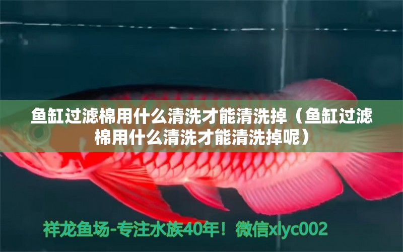 魚缸過濾棉用什么清洗才能清洗掉（魚缸過濾棉用什么清洗才能清洗掉呢） 量子養(yǎng)魚技術