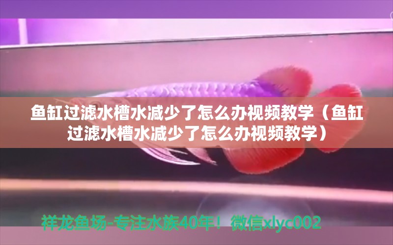 魚缸過濾水槽水減少了怎么辦視頻教學(xué)（魚缸過濾水槽水減少了怎么辦視頻教學(xué)）