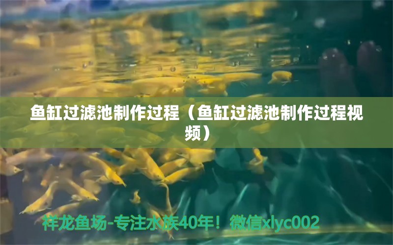 魚缸過濾池制作過程（魚缸過濾池制作過程視頻） 觀賞魚市場（混養(yǎng)魚）