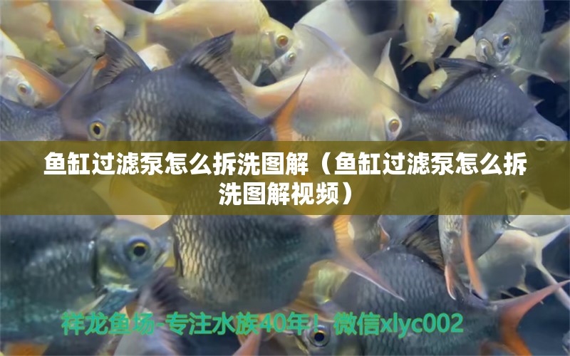 魚缸過濾泵怎么拆洗圖解（魚缸過濾泵怎么拆洗圖解視頻） 其他品牌魚缸