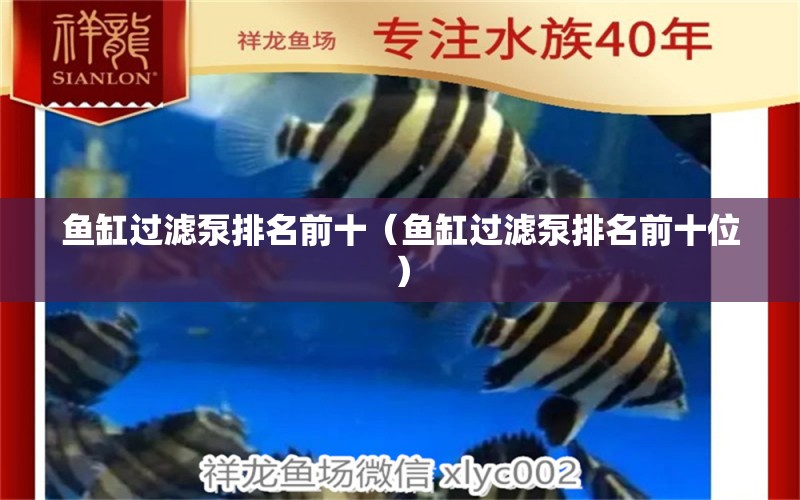 魚缸過濾泵排名前十（魚缸過濾泵排名前十位） 其他品牌魚缸 第2張