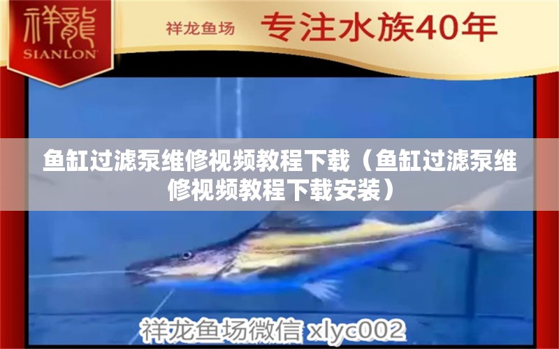 魚缸過濾泵維修視頻教程下載（魚缸過濾泵維修視頻教程下載安裝） 其他品牌魚缸