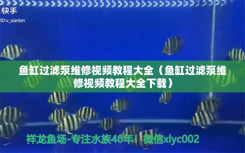 魚缸過濾泵維修視頻教程大全（魚缸過濾泵維修視頻教程大全下載）