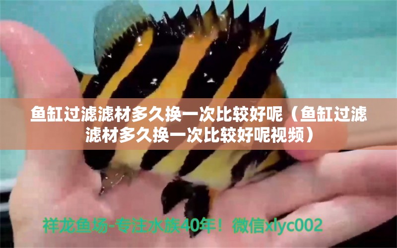 魚(yú)缸過(guò)濾濾材多久換一次比較好呢（魚(yú)缸過(guò)濾濾材多久換一次比較好呢視頻）