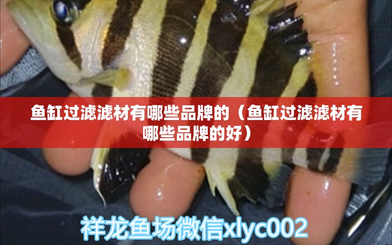 魚(yú)缸過(guò)濾濾材有哪些品牌的（魚(yú)缸過(guò)濾濾材有哪些品牌的好）