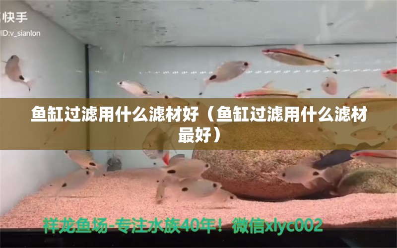 魚缸過濾用什么濾材好（魚缸過濾用什么濾材最好） 白寫錦鯉魚