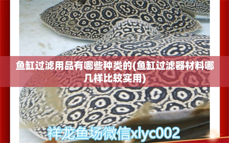 魚(yú)缸過(guò)濾用品有哪些種類的(魚(yú)缸過(guò)濾器材料哪幾樣比較實(shí)用) 紅頭利魚(yú) 第1張