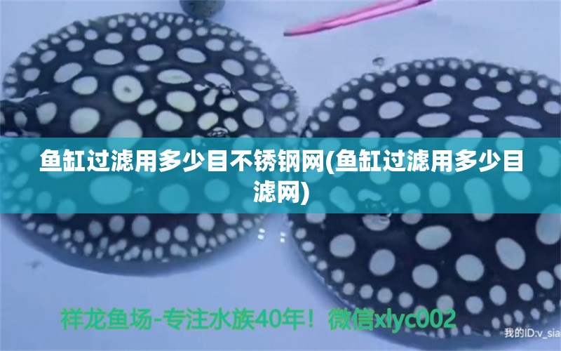 魚缸過(guò)濾用多少目不銹鋼網(wǎng)(魚缸過(guò)濾用多少目濾網(wǎng)) 魚缸水質(zhì)穩(wěn)定劑