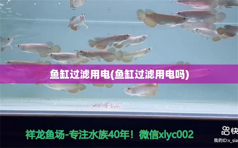 魚缸過濾用電(魚缸過濾用電嗎) 魚缸水泵 第1張