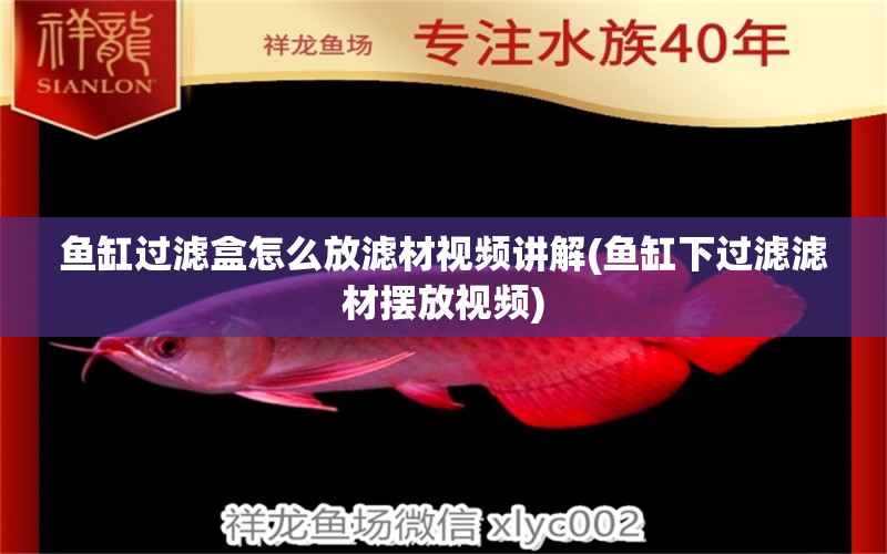 魚缸過濾盒怎么放濾材視頻講解(魚缸下過濾濾材擺放視頻) 純血皇冠黑白魟魚 第1張