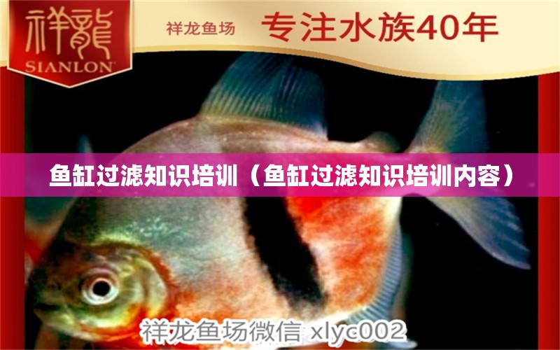 魚缸過濾知識(shí)培訓(xùn)（魚缸過濾知識(shí)培訓(xùn)內(nèi)容）