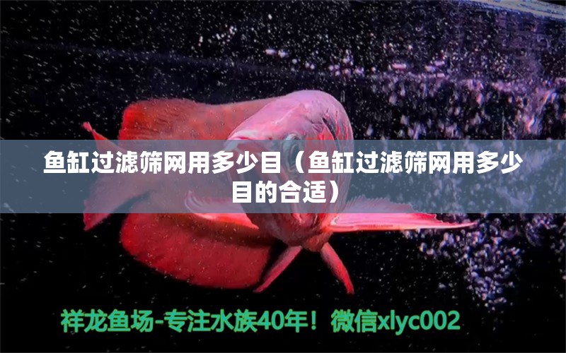 魚缸過濾篩網(wǎng)用多少目（魚缸過濾篩網(wǎng)用多少目的合適） 祥龍水族醫(yī)院