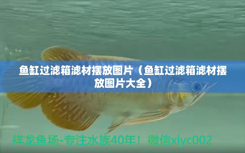 魚缸過濾箱濾材擺放圖片（魚缸過濾箱濾材擺放圖片大全）