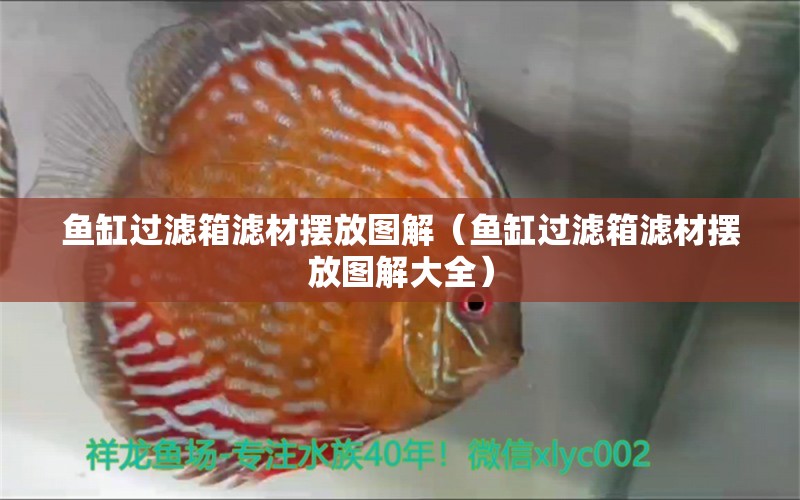 魚缸過濾箱濾材擺放圖解（魚缸過濾箱濾材擺放圖解大全）