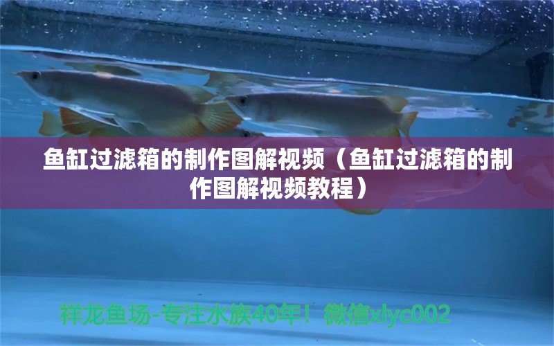 魚缸過濾箱的制作圖解視頻（魚缸過濾箱的制作圖解視頻教程）