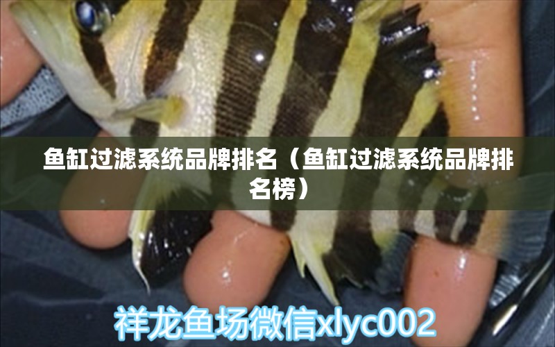 魚缸過濾系統(tǒng)品牌排名（魚缸過濾系統(tǒng)品牌排名榜）