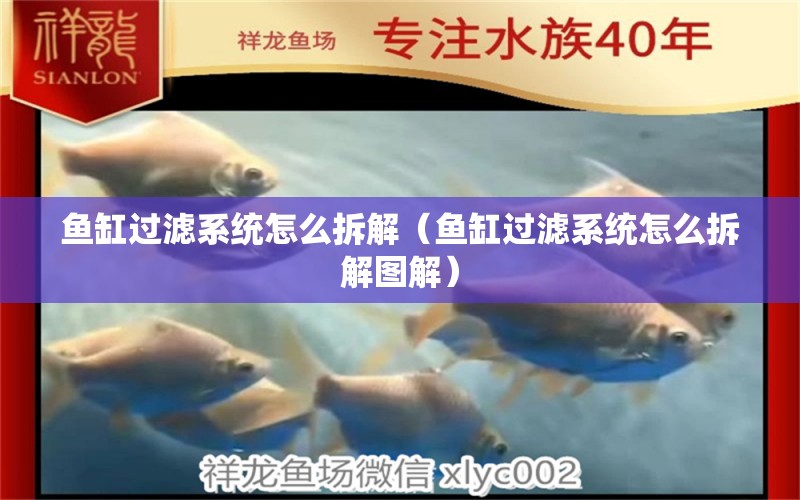 魚(yú)缸過(guò)濾系統(tǒng)怎么拆解（魚(yú)缸過(guò)濾系統(tǒng)怎么拆解圖解）