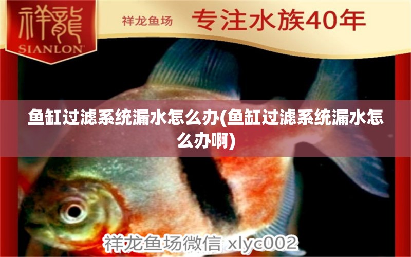 魚缸過濾系統(tǒng)漏水怎么辦(魚缸過濾系統(tǒng)漏水怎么辦啊) 水草